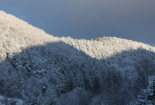 exterier-white-hose-1